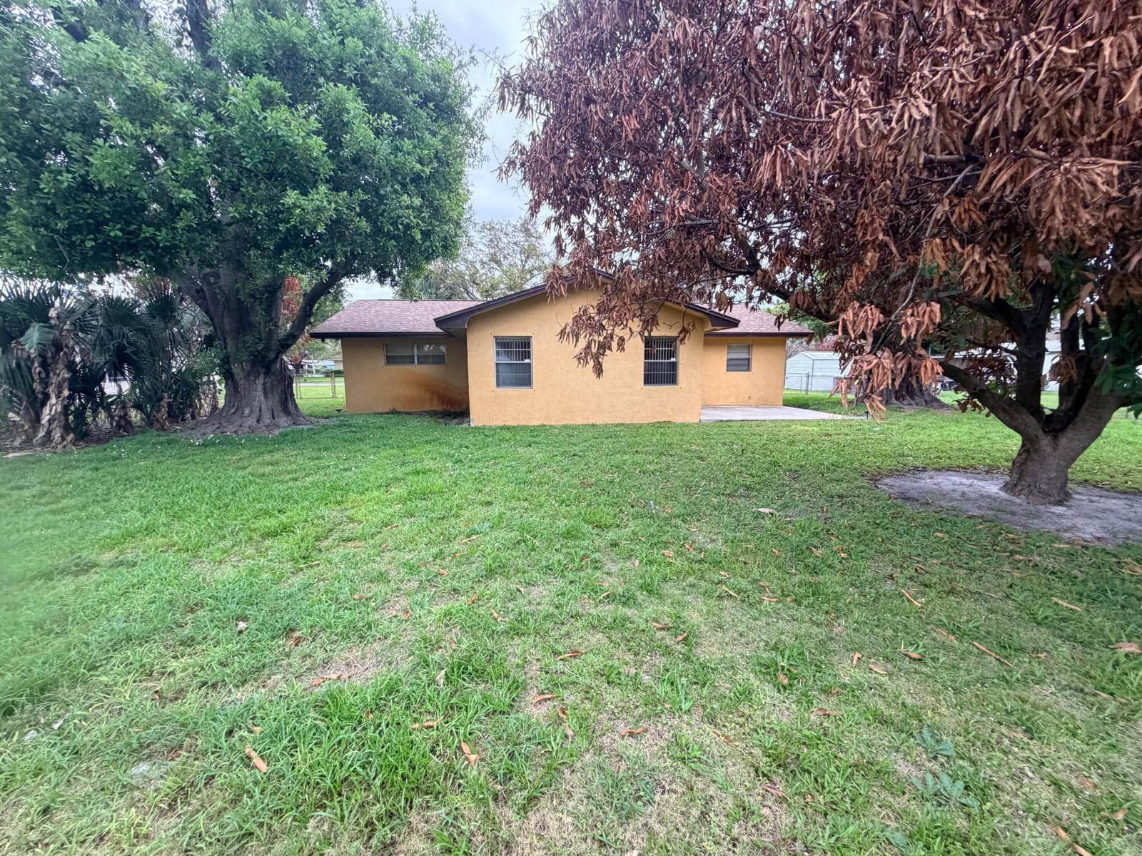 2207 Avenue O, Fort Pierce, FL 34950 photo 3