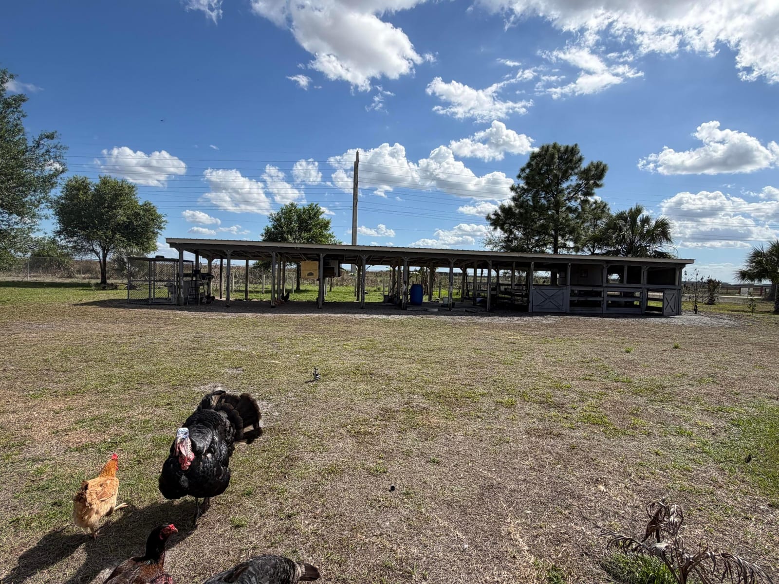 5500 Hendry Isles Boulevard, Clewiston, FL 33440 photo 17