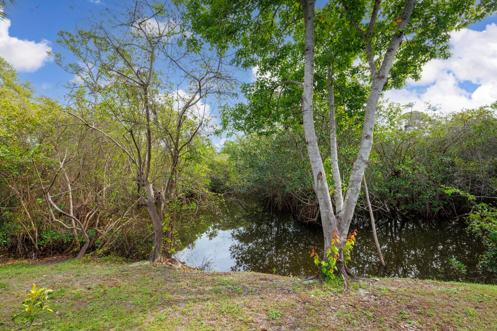 1421 NE 14th Court Q-19, Jensen Beach, FL 34957 photo 28