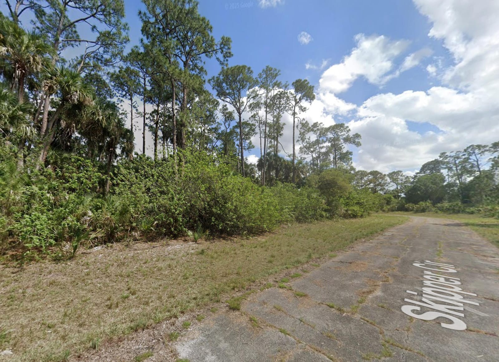 425 Skipper Terrace, LaBelle, FL 33935 photo 2