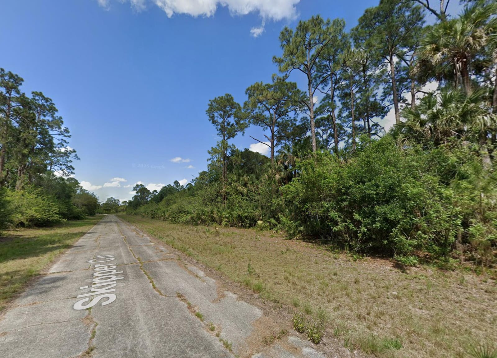 425 Skipper Terrace, LaBelle, FL 33935 photo 3