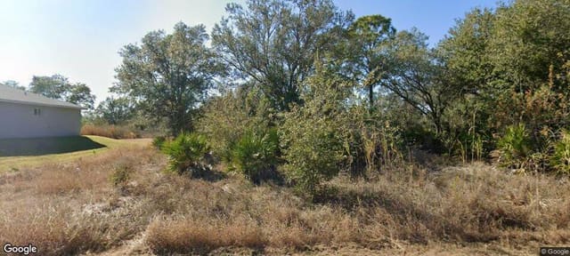 1511 Hibiscus Avenue, Leigh Acres, Lehigh Acres, FL