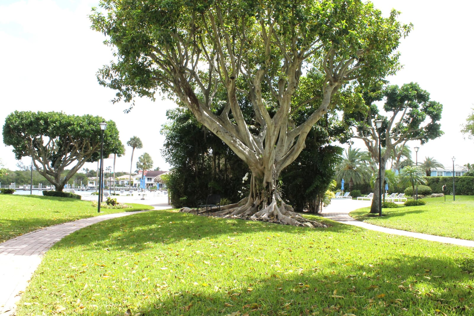 859 Jeffery Street 311, Boca Raton, FL 33487 photo 26