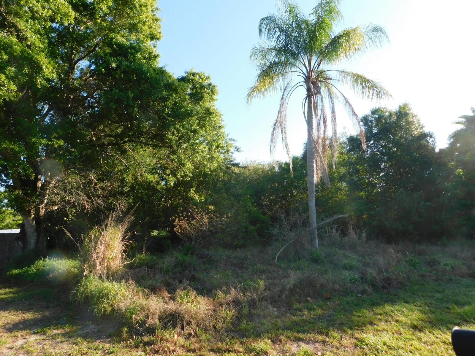6602 Ocala Avenue — photo 2