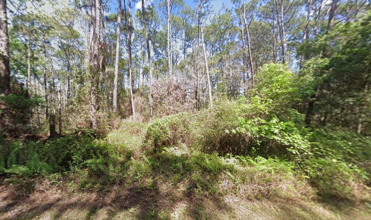 418 Palm Way, Georgetown, FL 32139, Georgetown