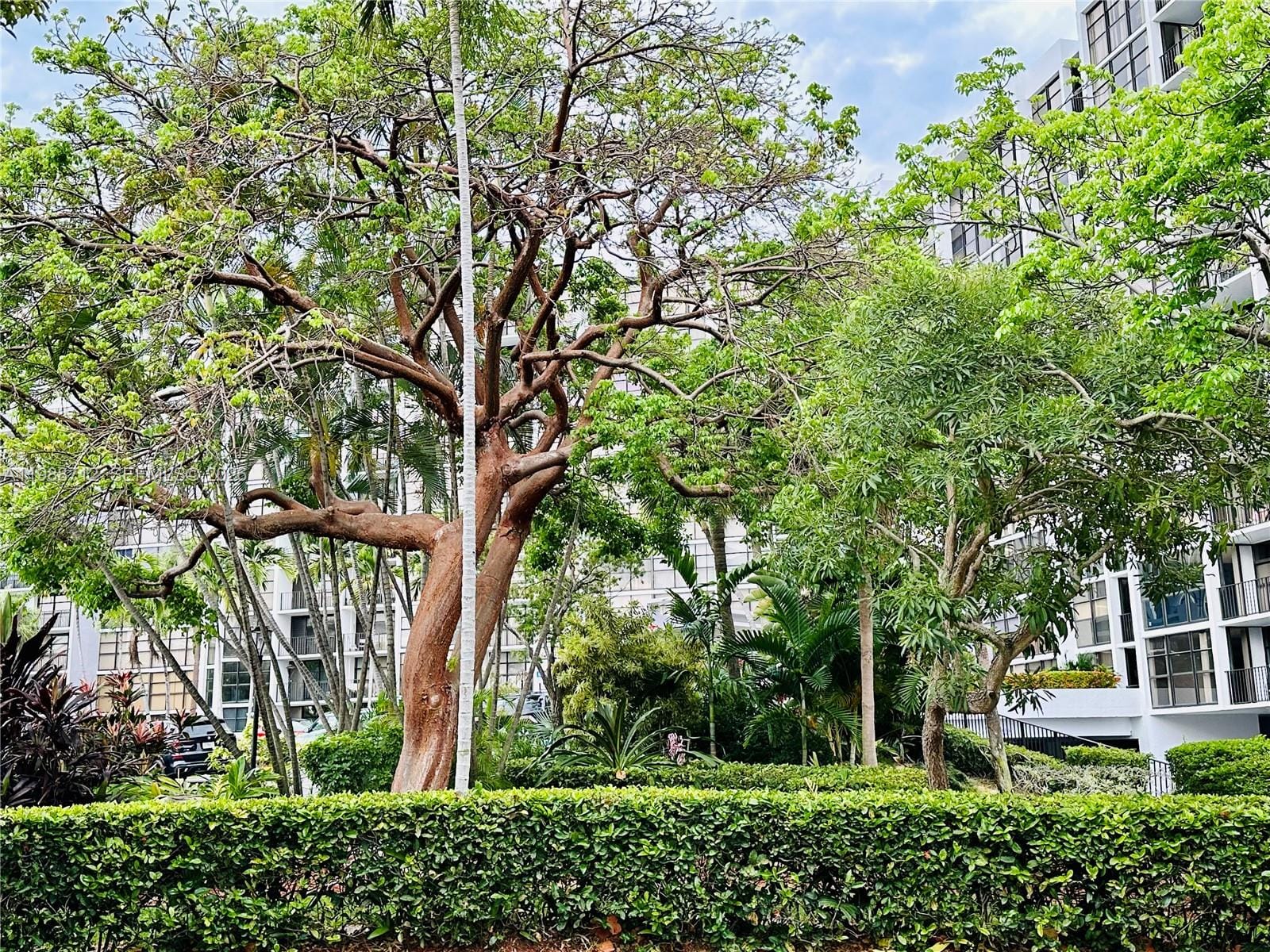600 E Parkview Drive 316, Hallandale Beach, FL 33009 photo 7