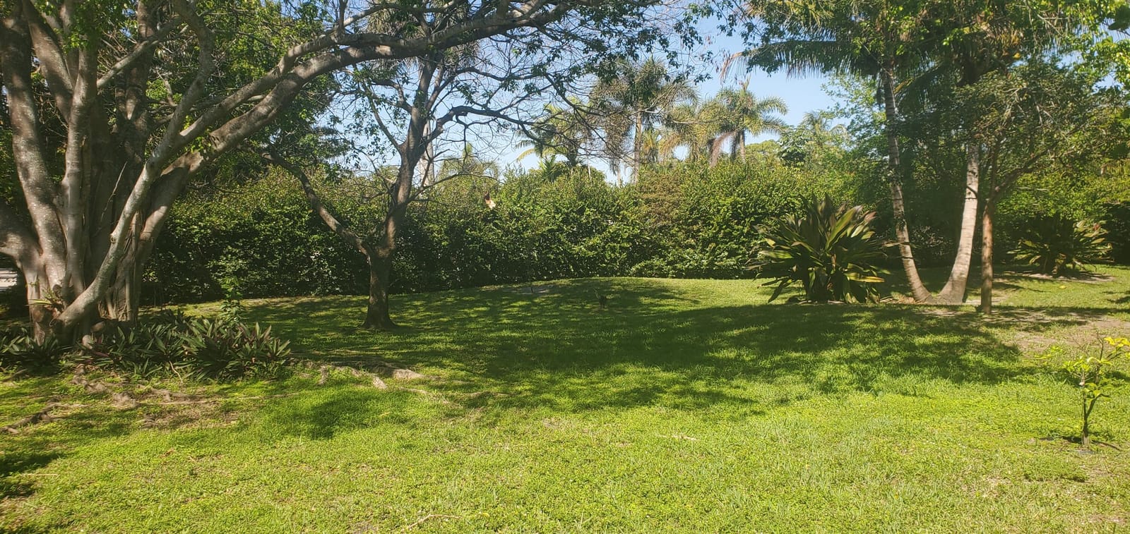 842 NE 20th Drive 842, Wilton Manors, FL 33305 photo 24