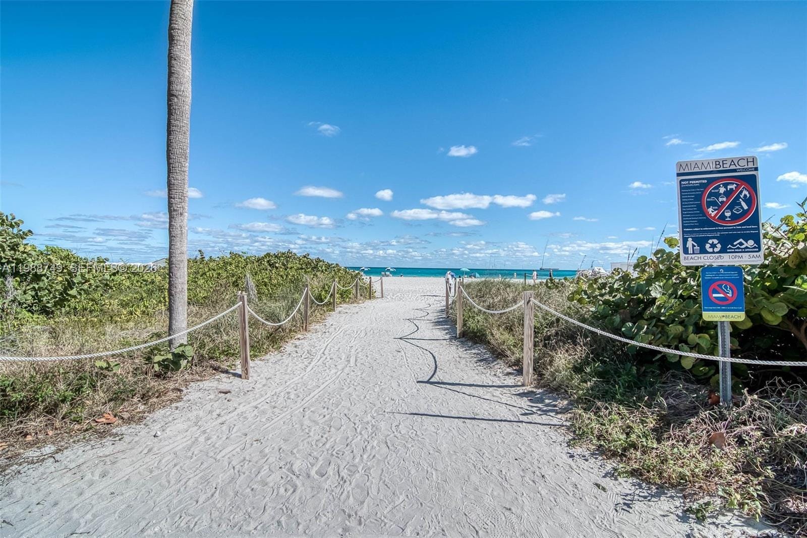 3737 Collins Avenue S-203, Miami Beach, FL 33140 photo 16