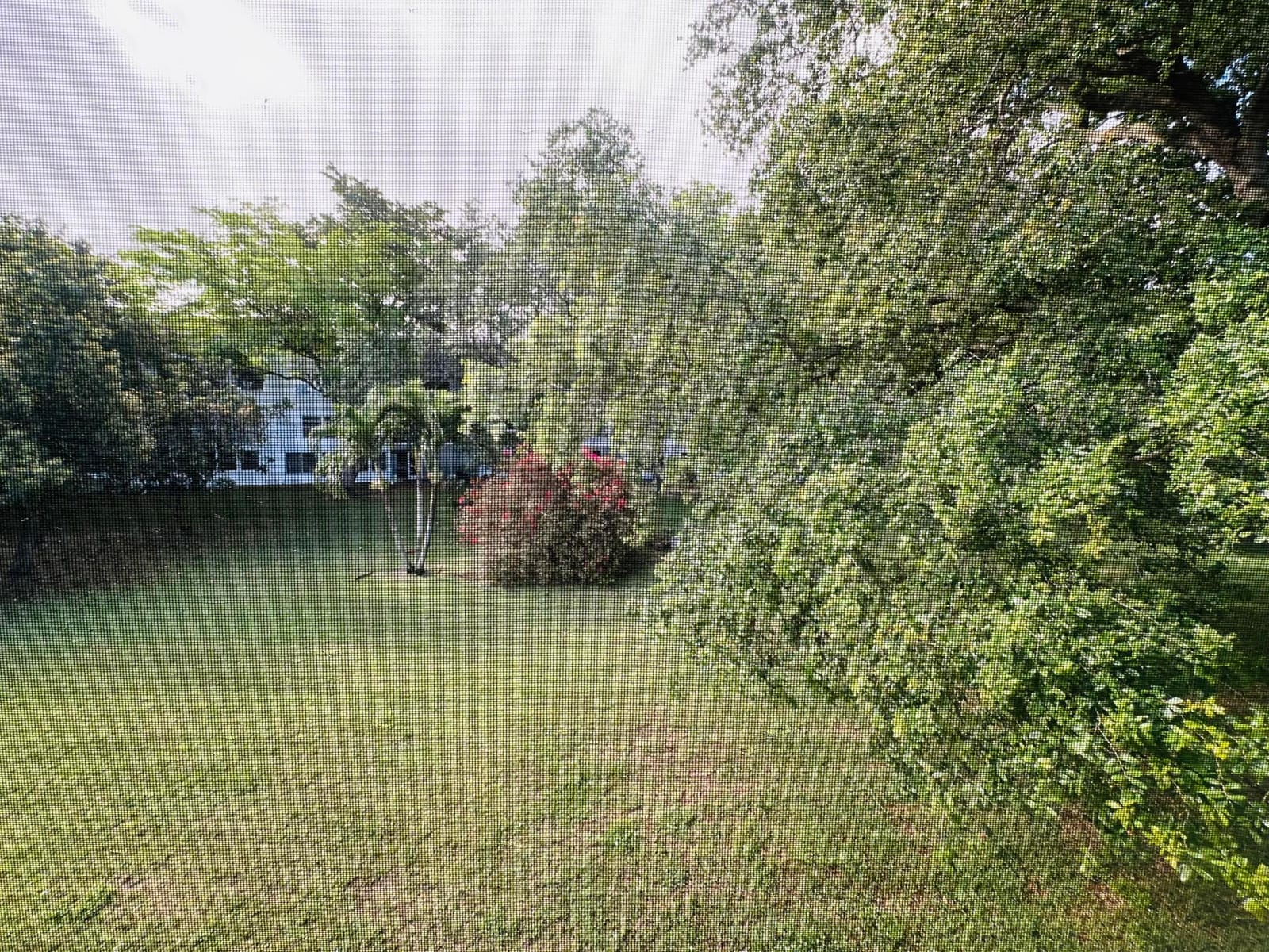 238 Newport O 238, Deerfield Beach, FL 33442 photo 13