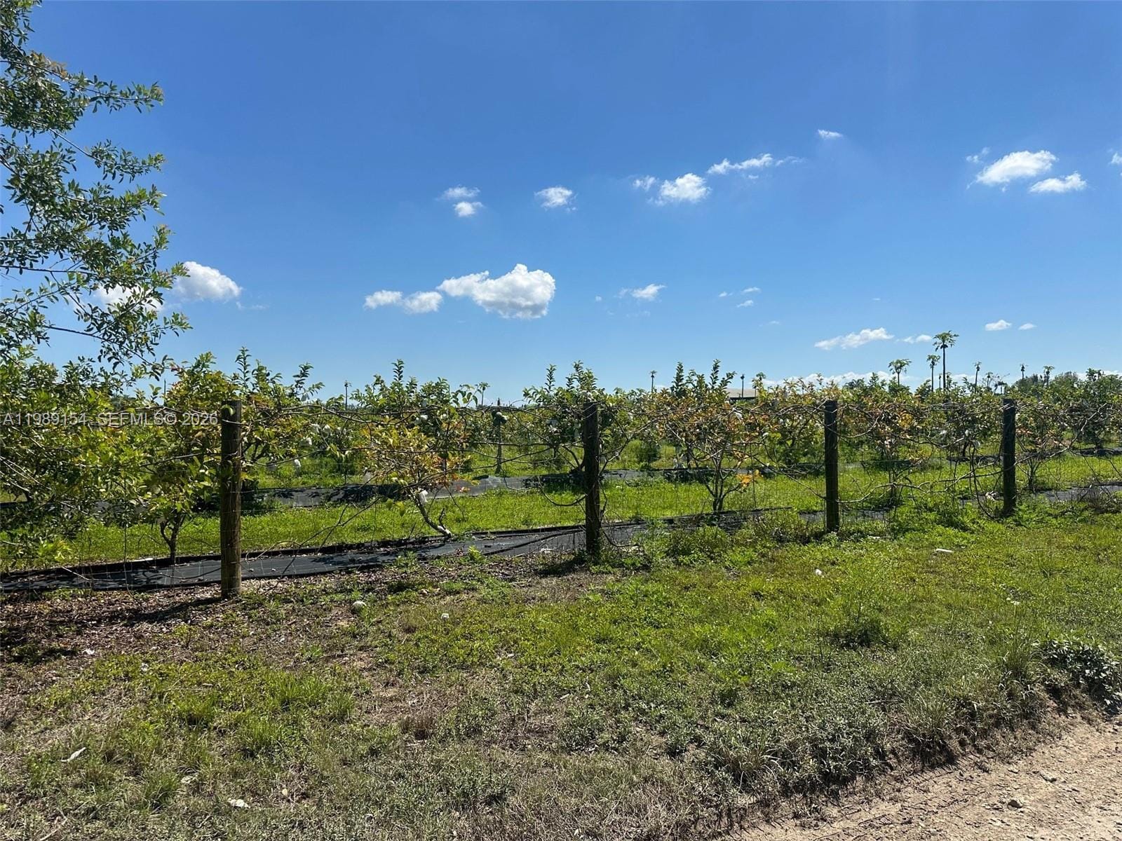 212xx SW 360 Street — photo 3
