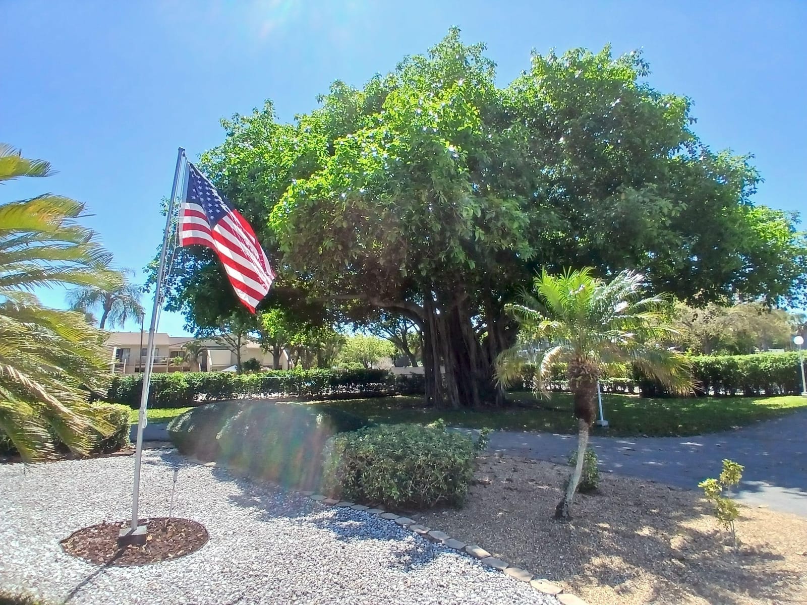 470 Executive Center Drive 4n, West Palm Beach, FL 33401 photo 27