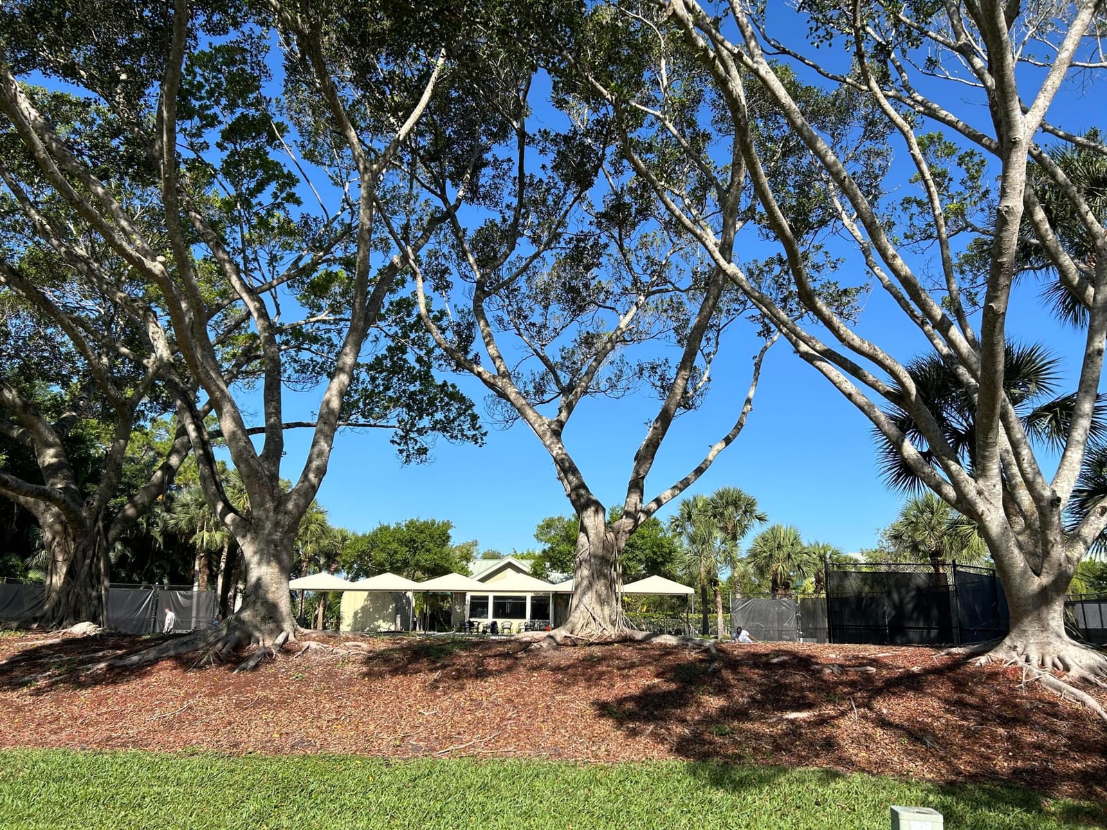 7795 Ironhorse Boulevard, West Palm Beach, FL 33412 photo 8