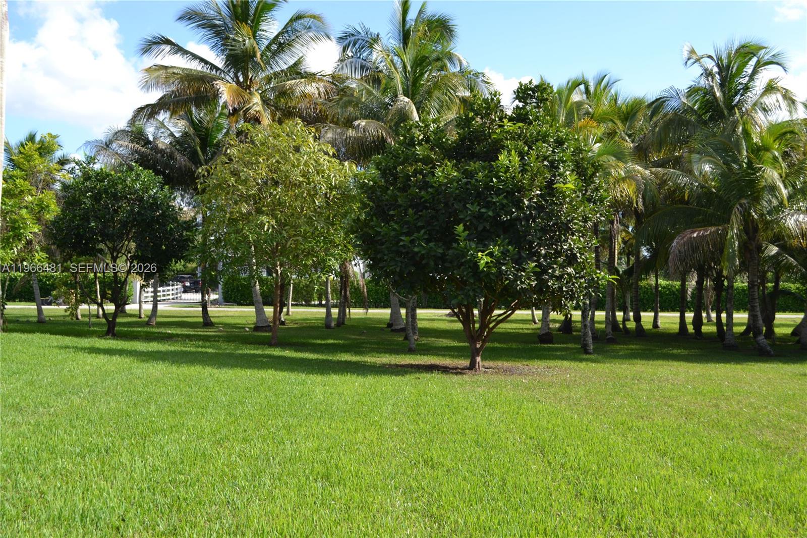5425 SW 190th Avenue 1, Southwest Ranches, FL 33332, Southwest Ranches