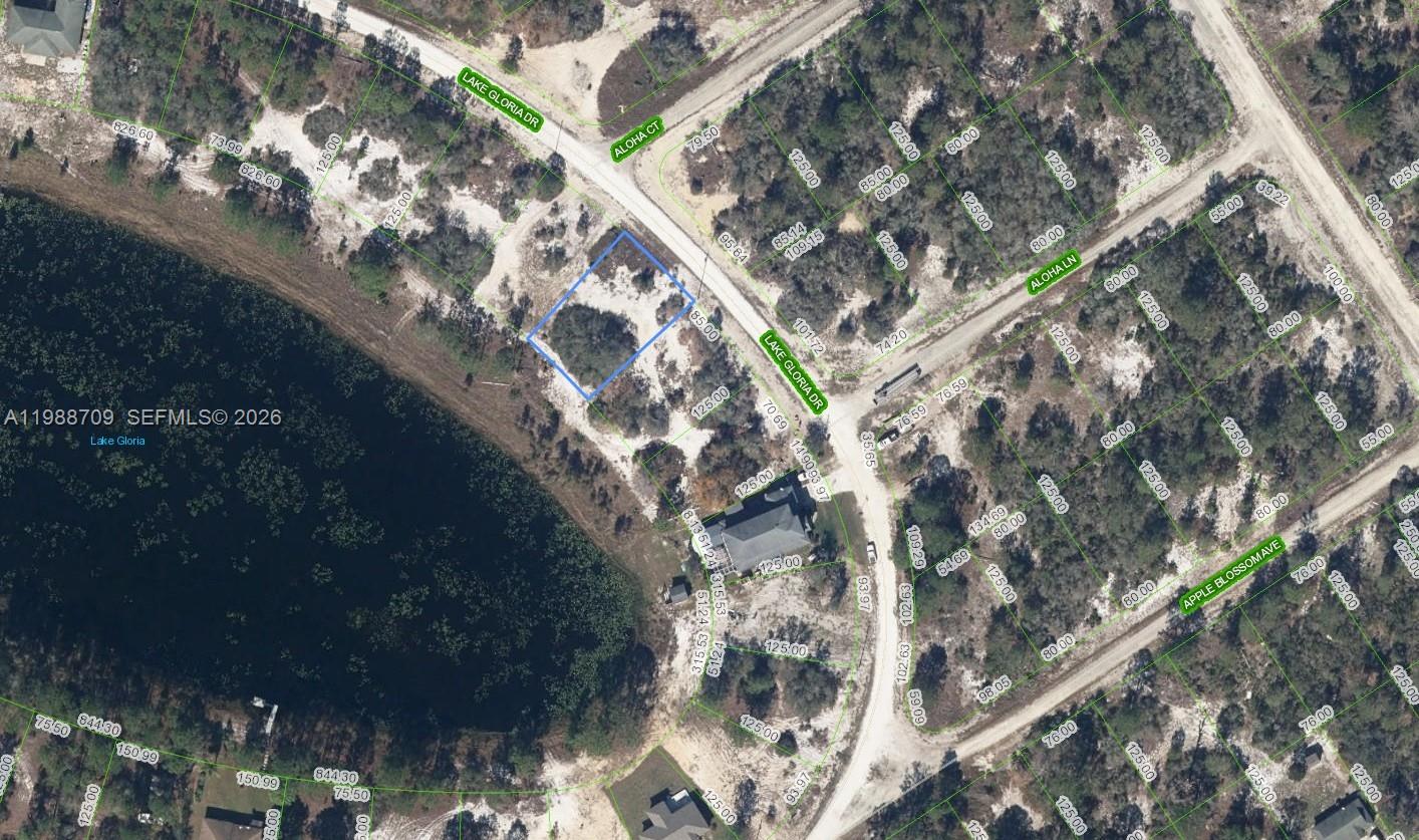 454 Lake Gloria Drive, Lake Placid, FL 33852, Lake Placid