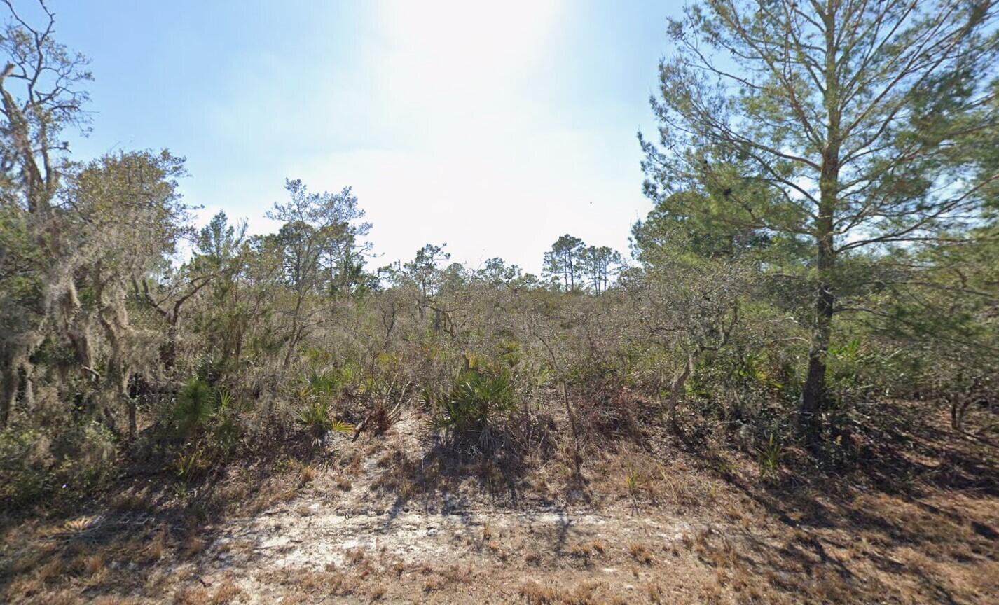 3235 N Dahlia Drive, Lake Placid, FL 33852, Lake Placid