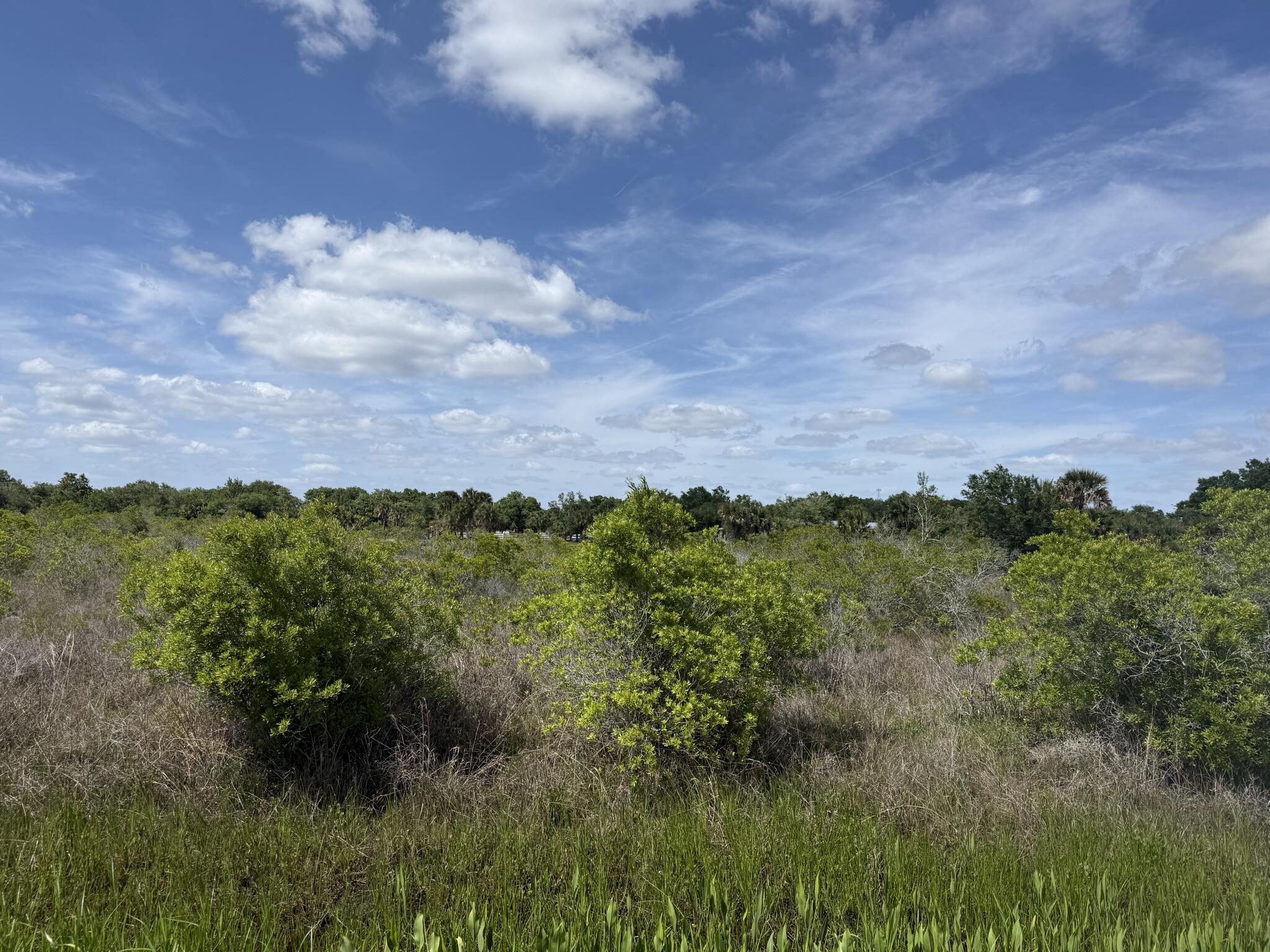 19369 NW 300th Street, Okeechobee, FL 34972, Okeechobee