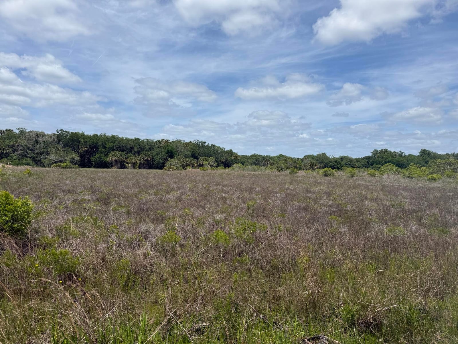 15575 NW 296th Street, Okeechobee, FL 34972 photo 2