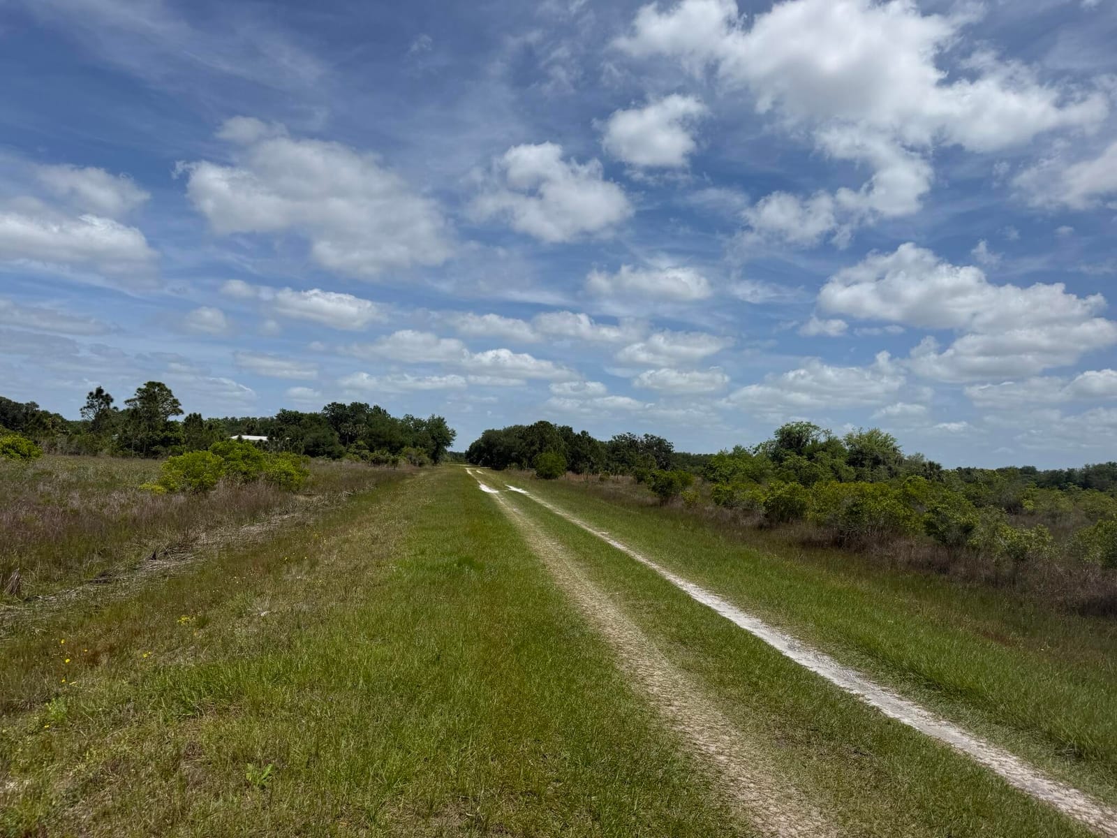 15575 NW 296th Street, Okeechobee, FL 34972 photo 3
