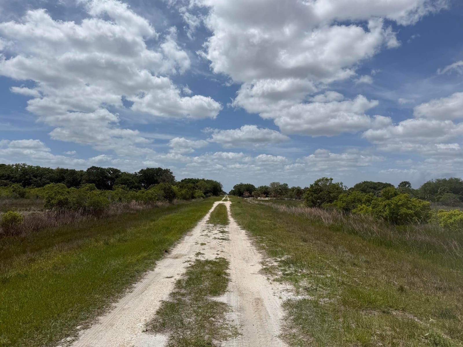 15575 NW 296th Street, Okeechobee, FL 34972 photo 4