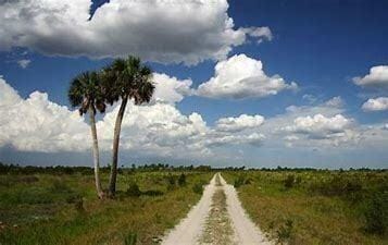 15575 NW 296th Street, Okeechobee, FL 34972 photo 7