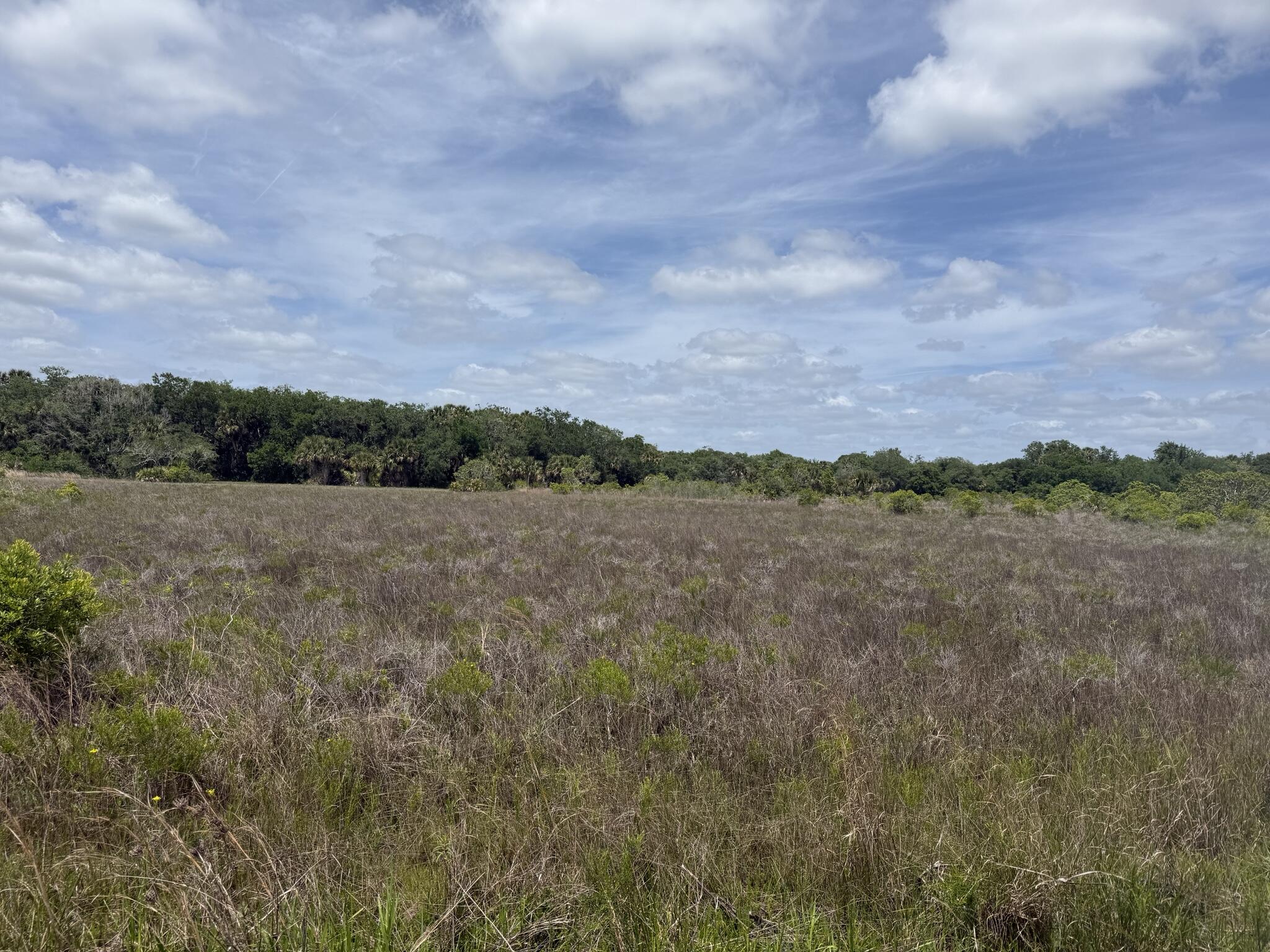 15575 NW 296th Street, Okeechobee, FL 34972, Okeechobee