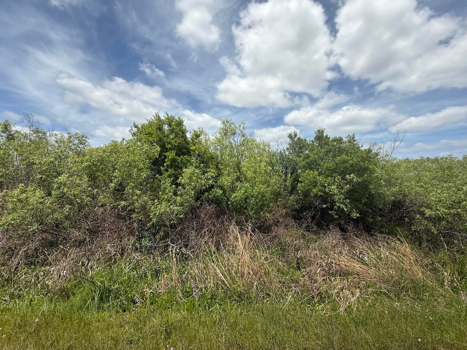 15837 NW 282nd Street, Okeechobee, FL 34972 photo 2
