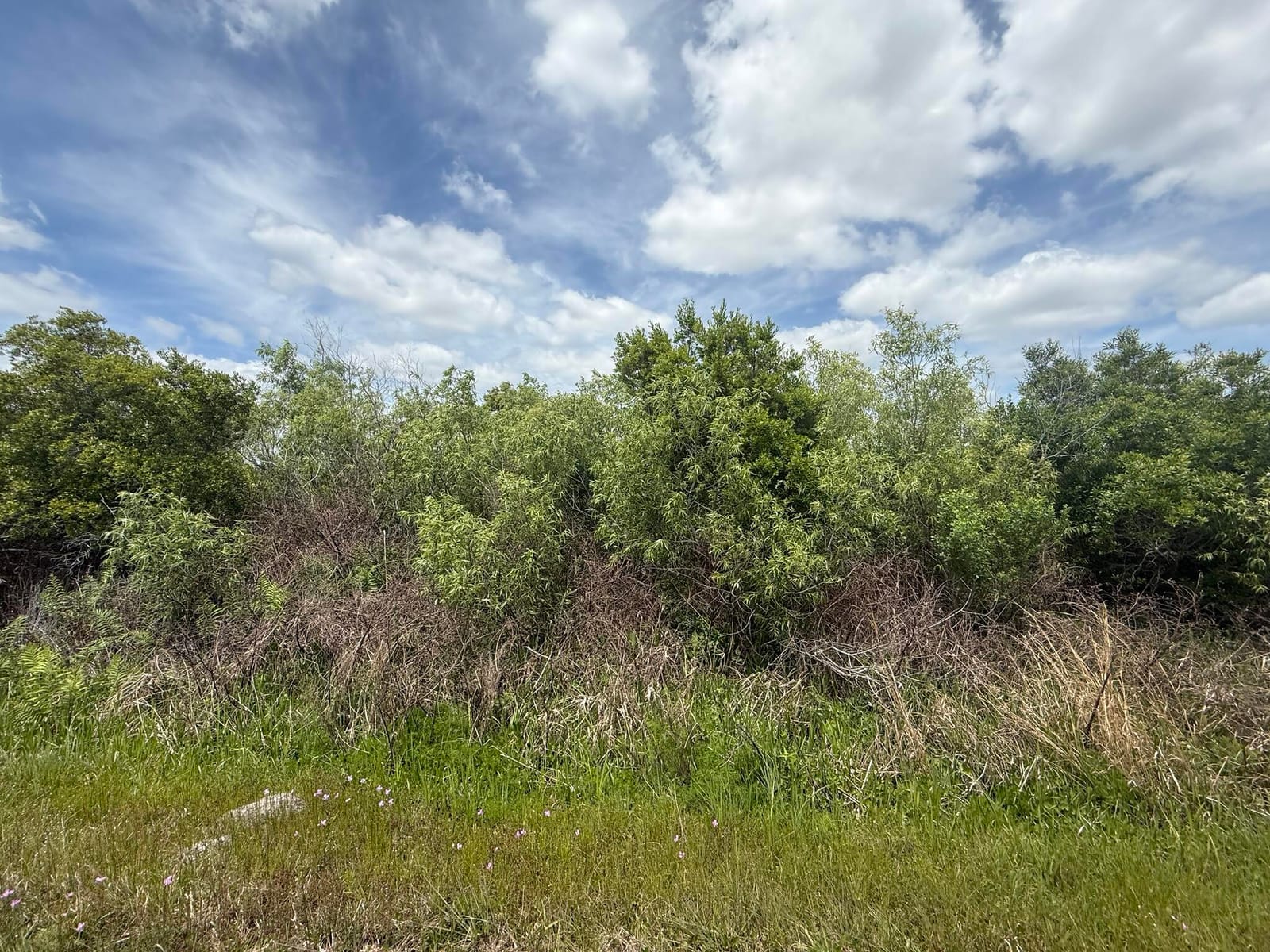 15837 NW 282nd Street, Okeechobee, FL 34972 photo 3