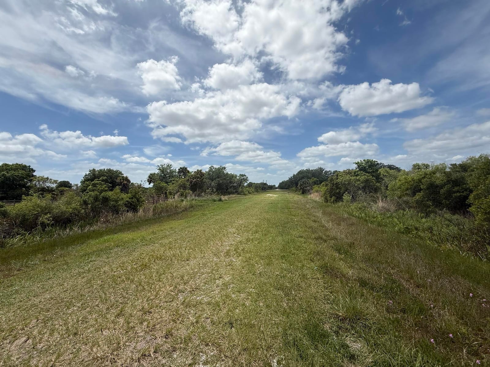 15837 NW 282nd Street, Okeechobee, FL 34972 photo 4