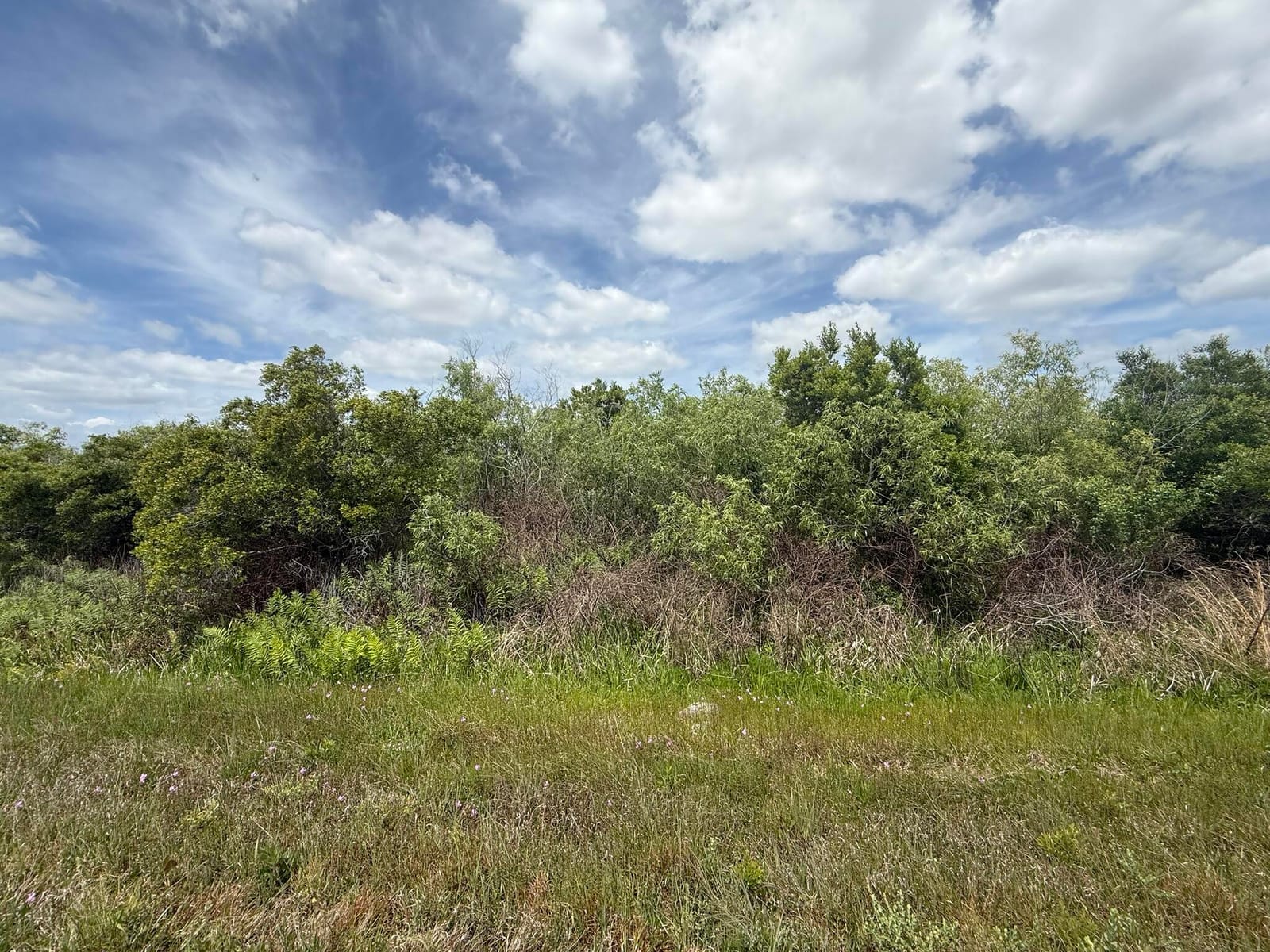 15837 NW 282nd Street, Okeechobee, FL 34972 photo 7