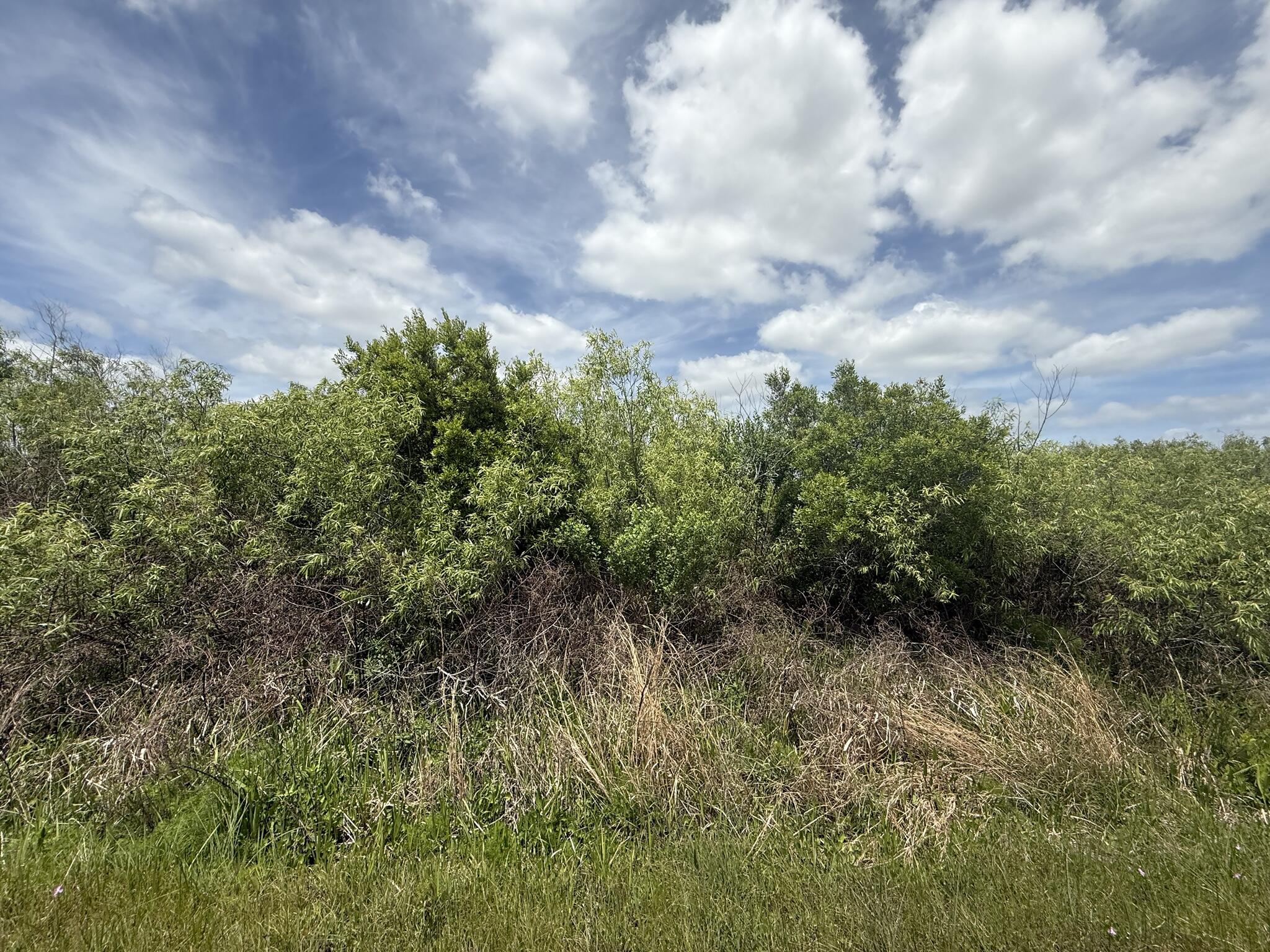 15837 NW 282nd Street, Okeechobee, FL 34972, Okeechobee