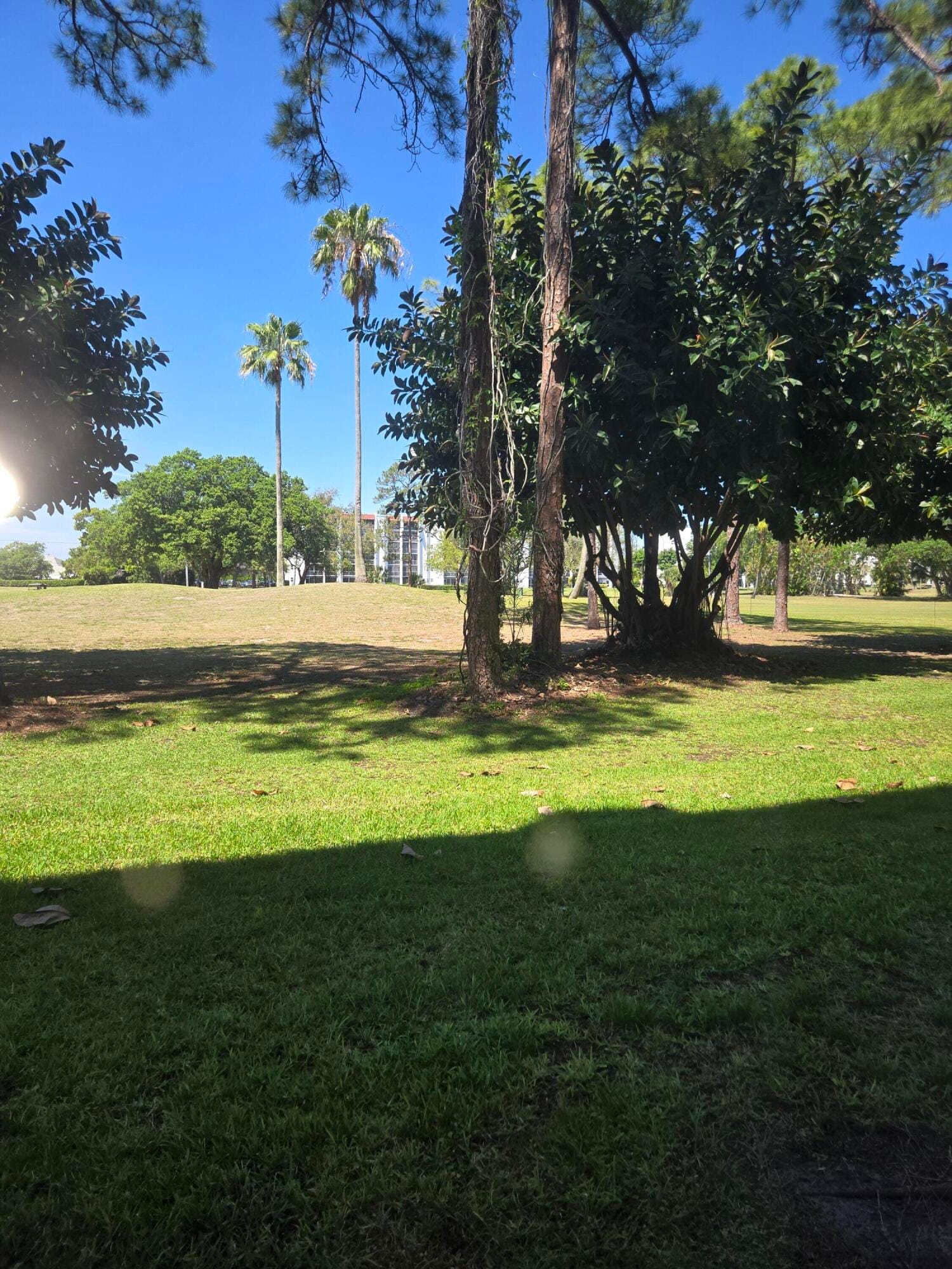 3755 Via Poinciana 108, Lake Worth, FL 33467 photo 6