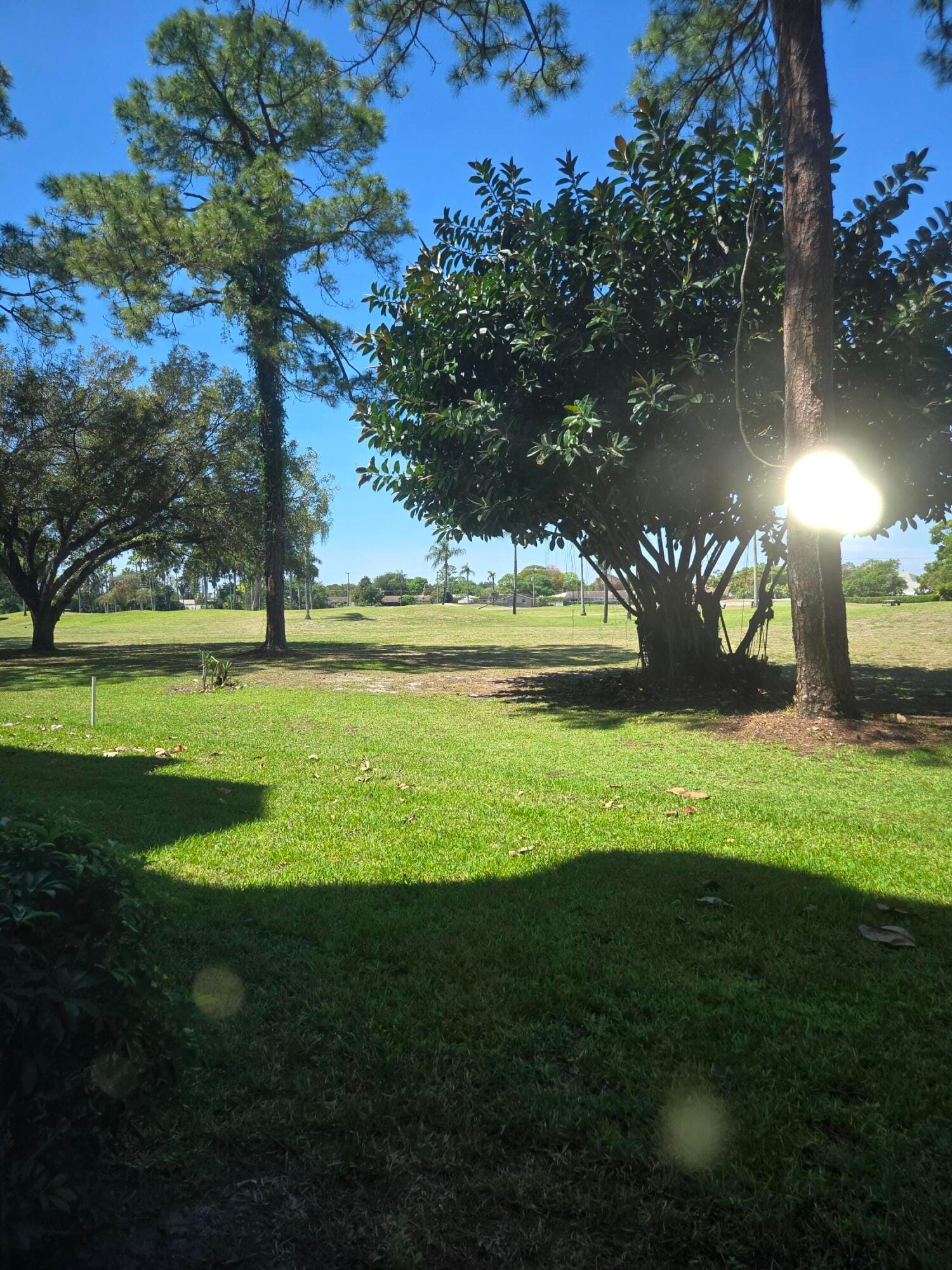 3755 Via Poinciana 108, Lake Worth, FL 33467 photo 7
