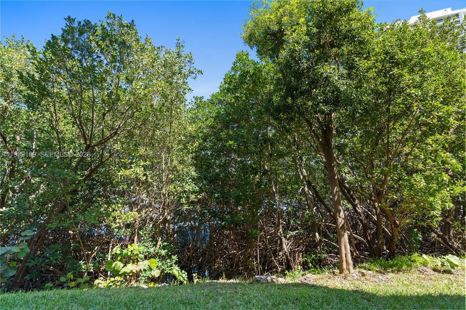 19655 E Country Club Drive 6108, Aventura, FL 33180 photo 27