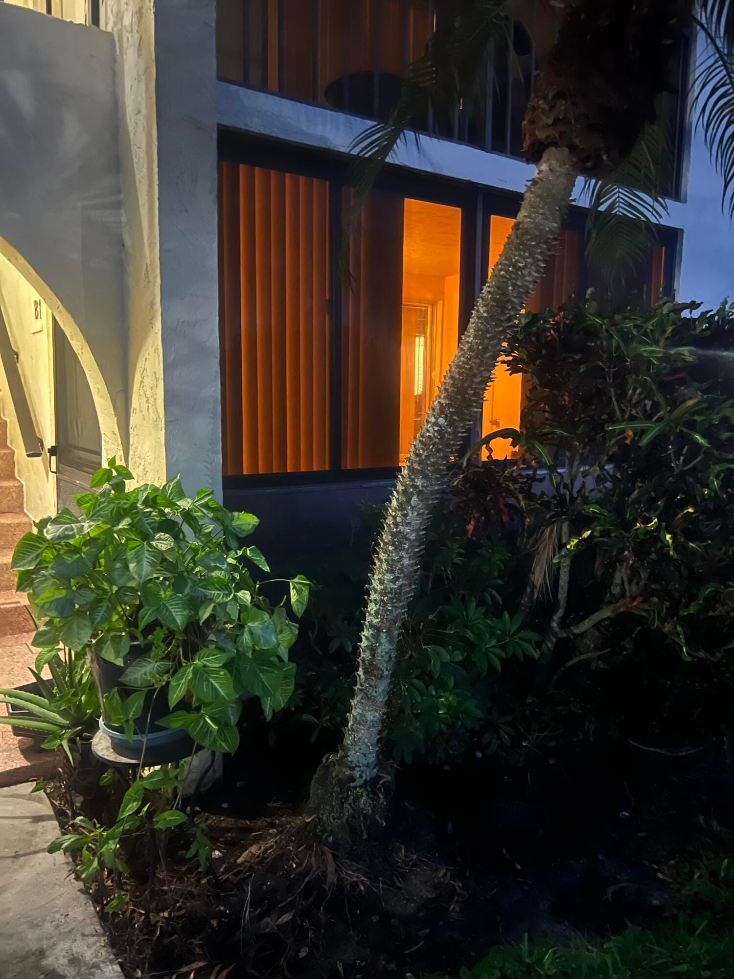 4961 Sable Pine Circle B1, West Palm Beach, FL 33417 photo 14