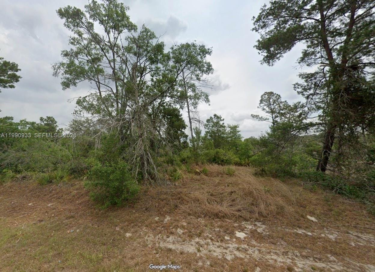 4931 San Ignacio Drive, Sebring, FL 33872 photo 4