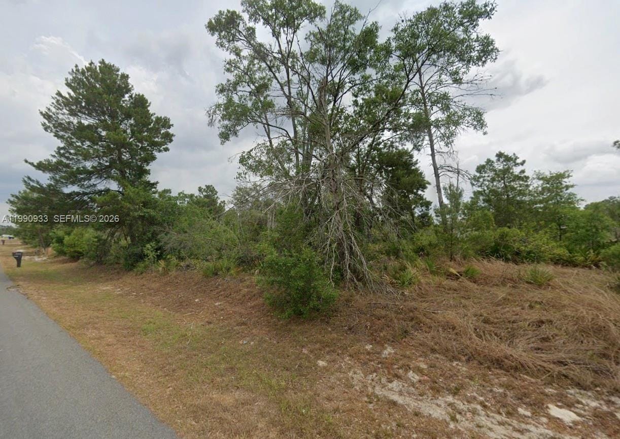 4931 San Ignacio Drive, Sebring, FL 33872 photo 5