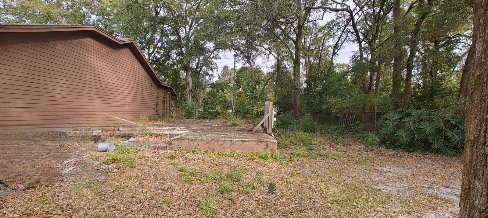 7520 Colony Cove Lane — photo 6