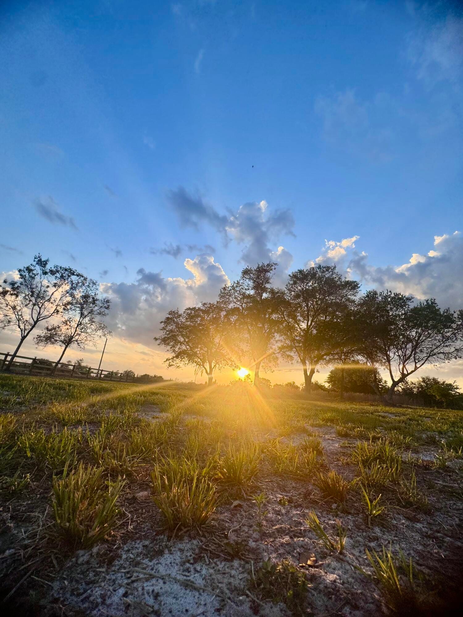 14769 NW 244th Street, Okeechobee, FL 34972 photo 3