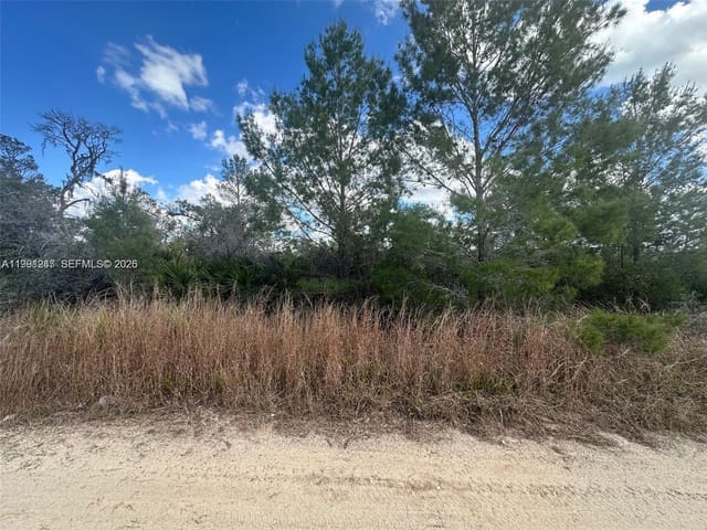 123 Dartmoor Avenue, Lake Placid, FL 33852