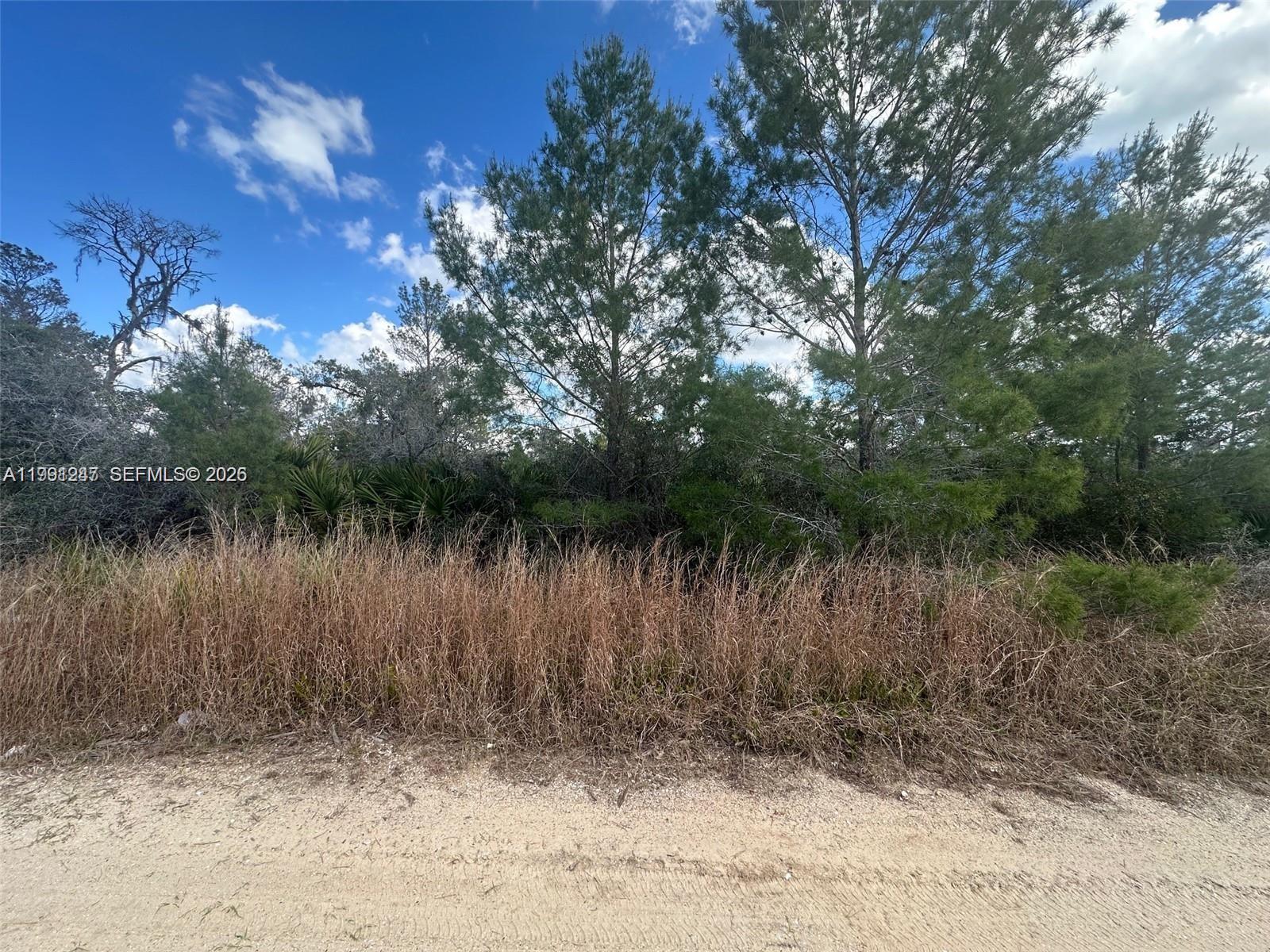 123 Dartmoor Avenue, Lake Placid, FL 33852, Lake Placid