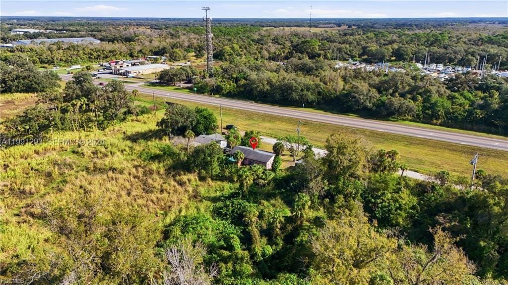 829 N Bridge Street, LaBelle, FL 33935 photo 30