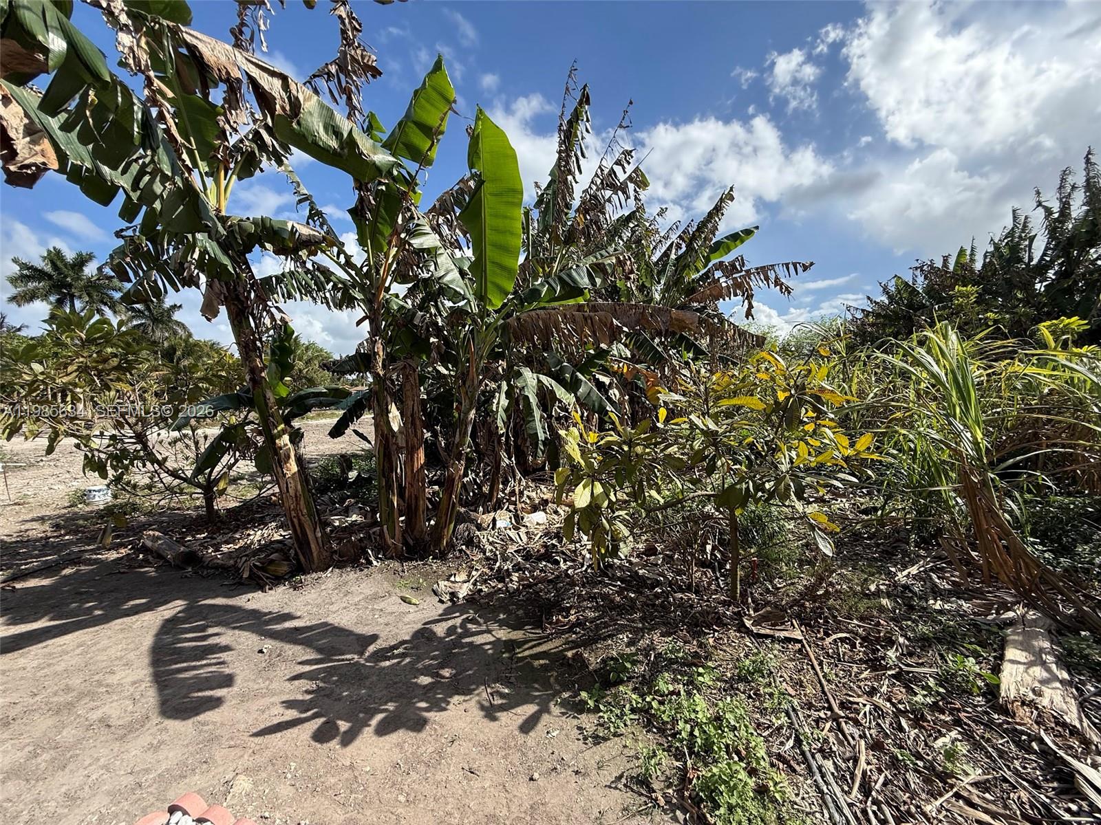 16455 SW 207, Homestead, FL 33187, Homestead