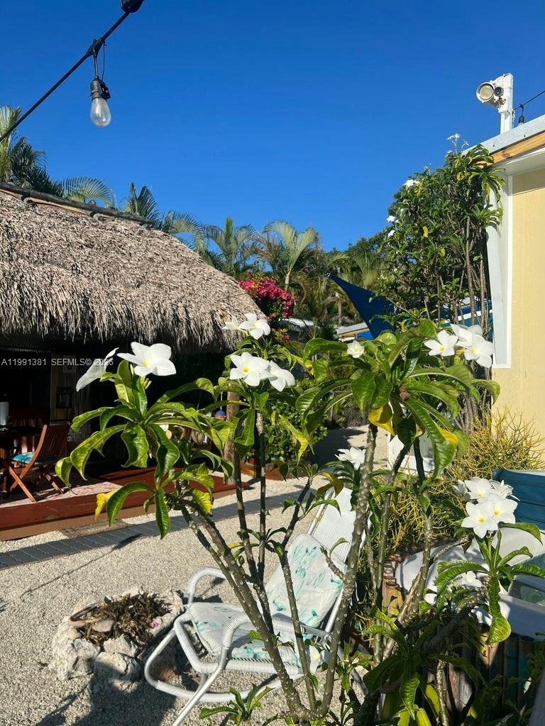 8 Grassy Road, Key Largo, FL 33037 photo 12