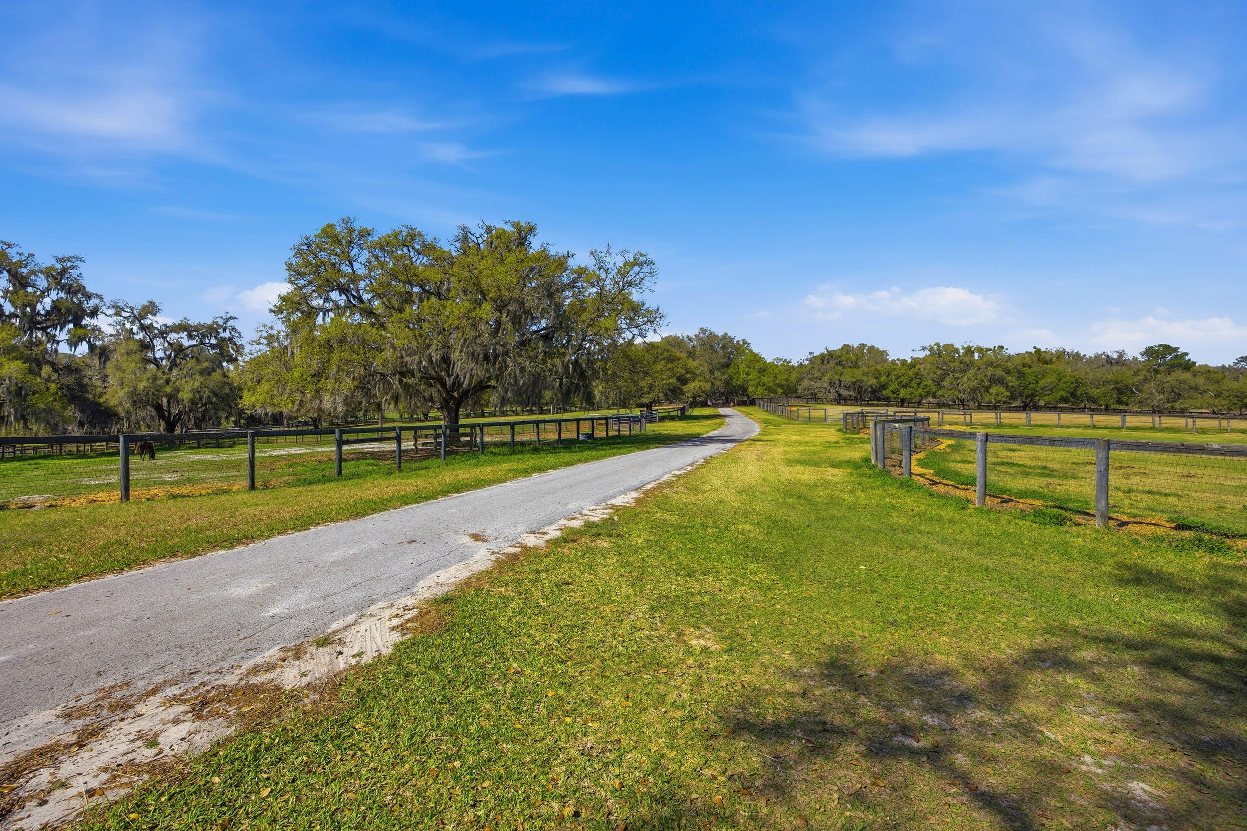 6025 NW 115th Avenue, Ocala, FL 34482 photo 10