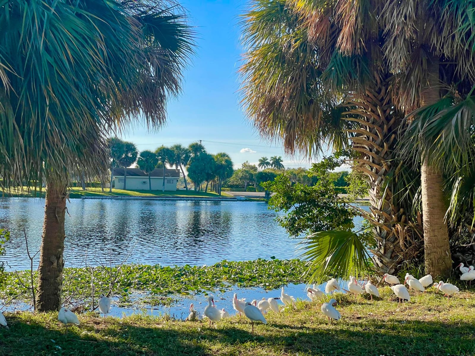 3402 Cynthia Lane 205, Lake Worth Beach, FL 33461 photo 30