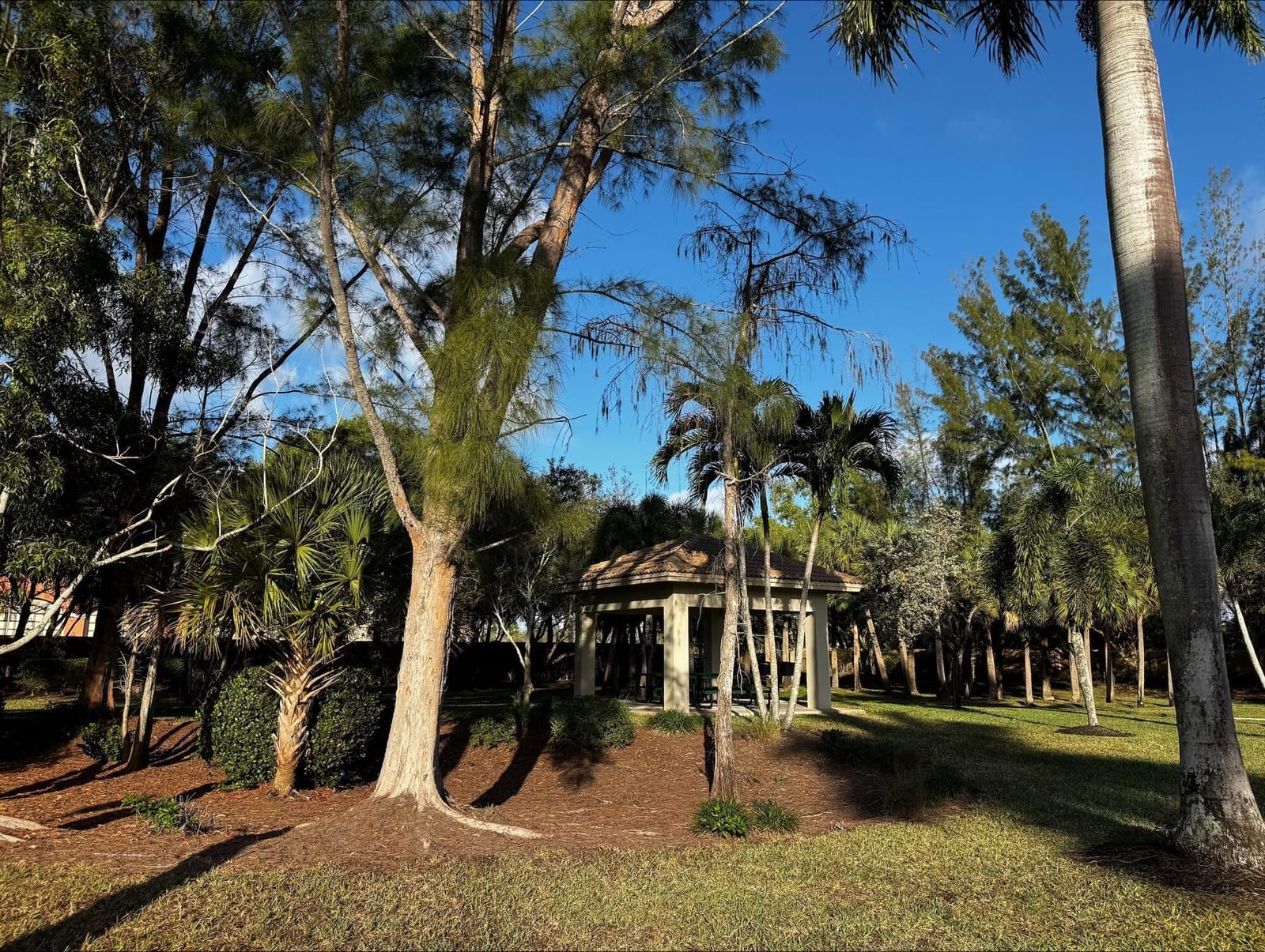8451 Club Estates Way — photo 10