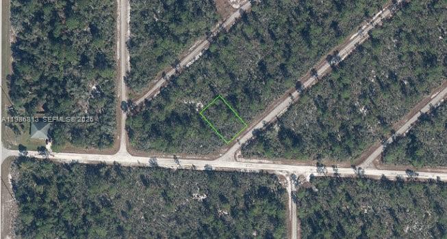 3543 Venetia, Lake Placid, FL 33852, Lake Placid