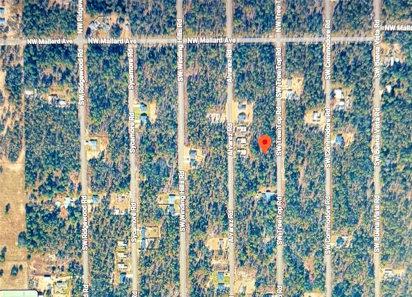 206 SW Tree Top Road, FL 34431, Dunnellon