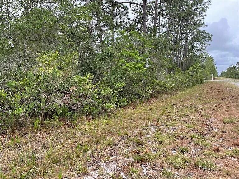 0 Bougainvillea Drive, Indian Lake Estates, FL 33855, Indian Lake Estates