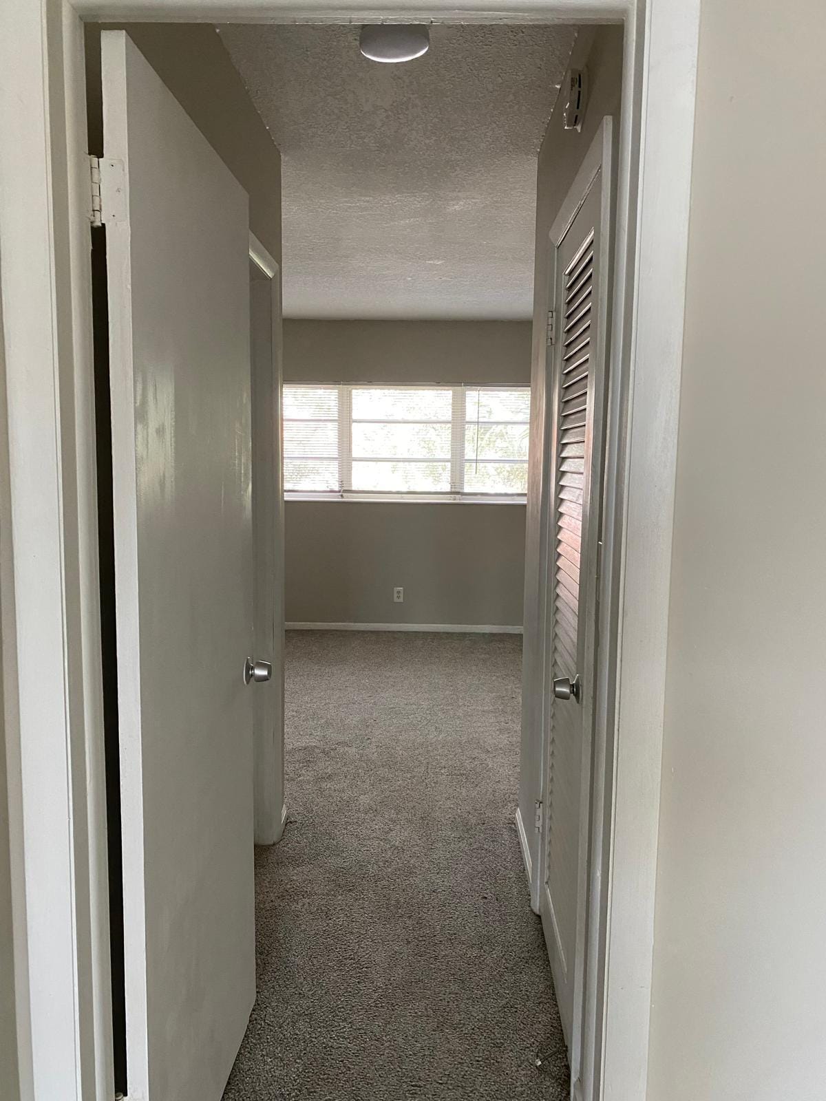 2303 S Federal Highway 19 — photo 8